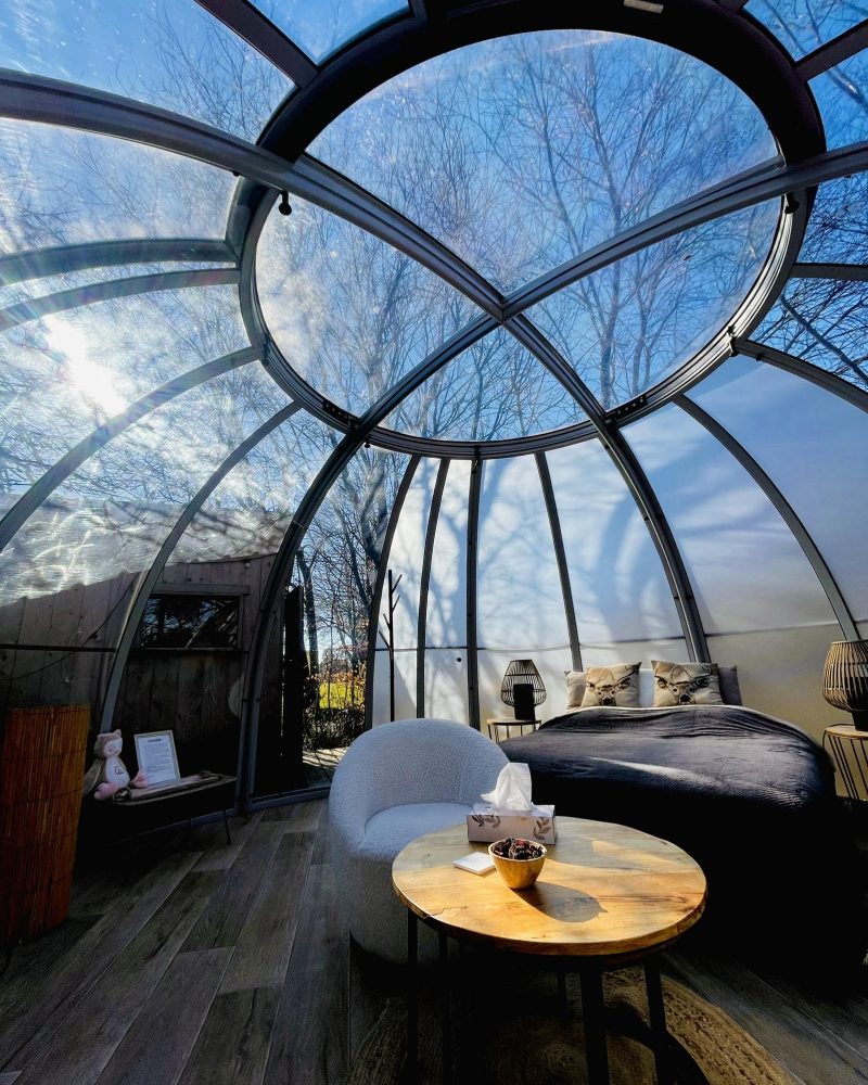 480941773_1185671233565971_318886201266953373_n